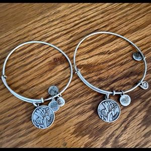 Alex and Ani silver  “sister” bangle